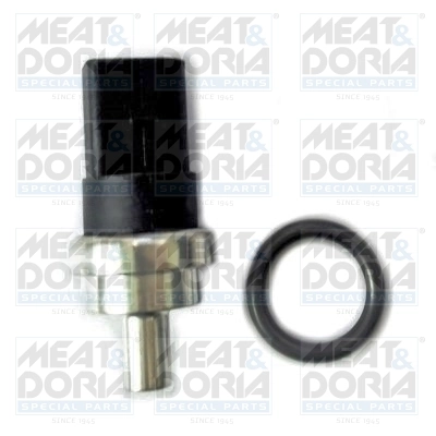 Sensor, fuel temperature